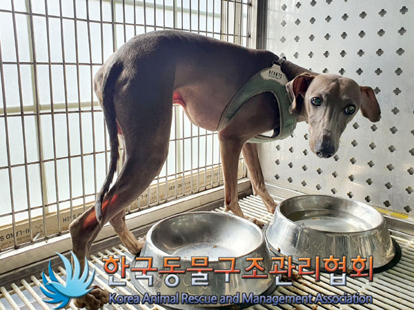 종료(반환) 이탈리…